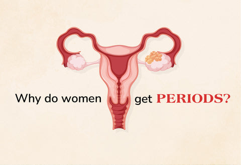 Why do women get periods?